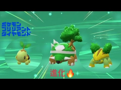 【ポケモン ブリリアント ダイヤモンド】ナエトル → ハヤシガメ → ドダイトス 進化🔥