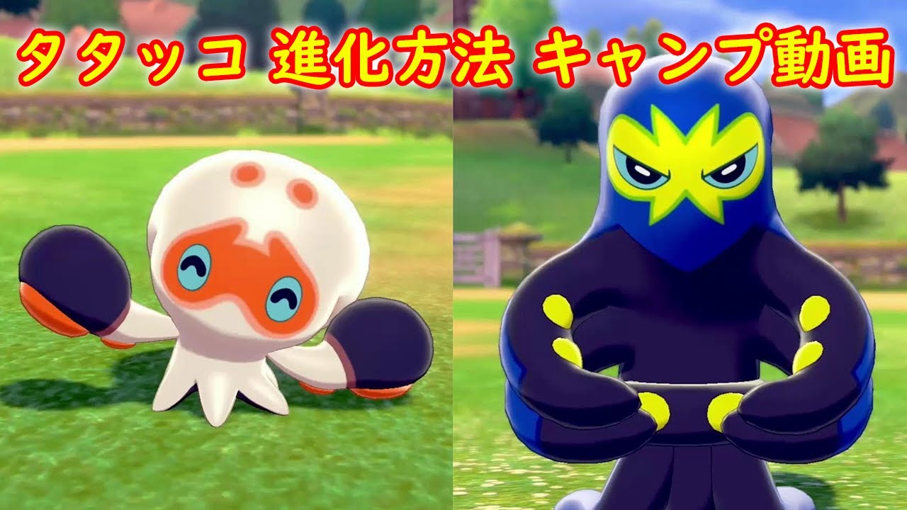 【タタッコ → オトスパス】進化方法 攻略 + キャンプで遊ぶ【ポケモン ソード シールド ポケモン剣盾】