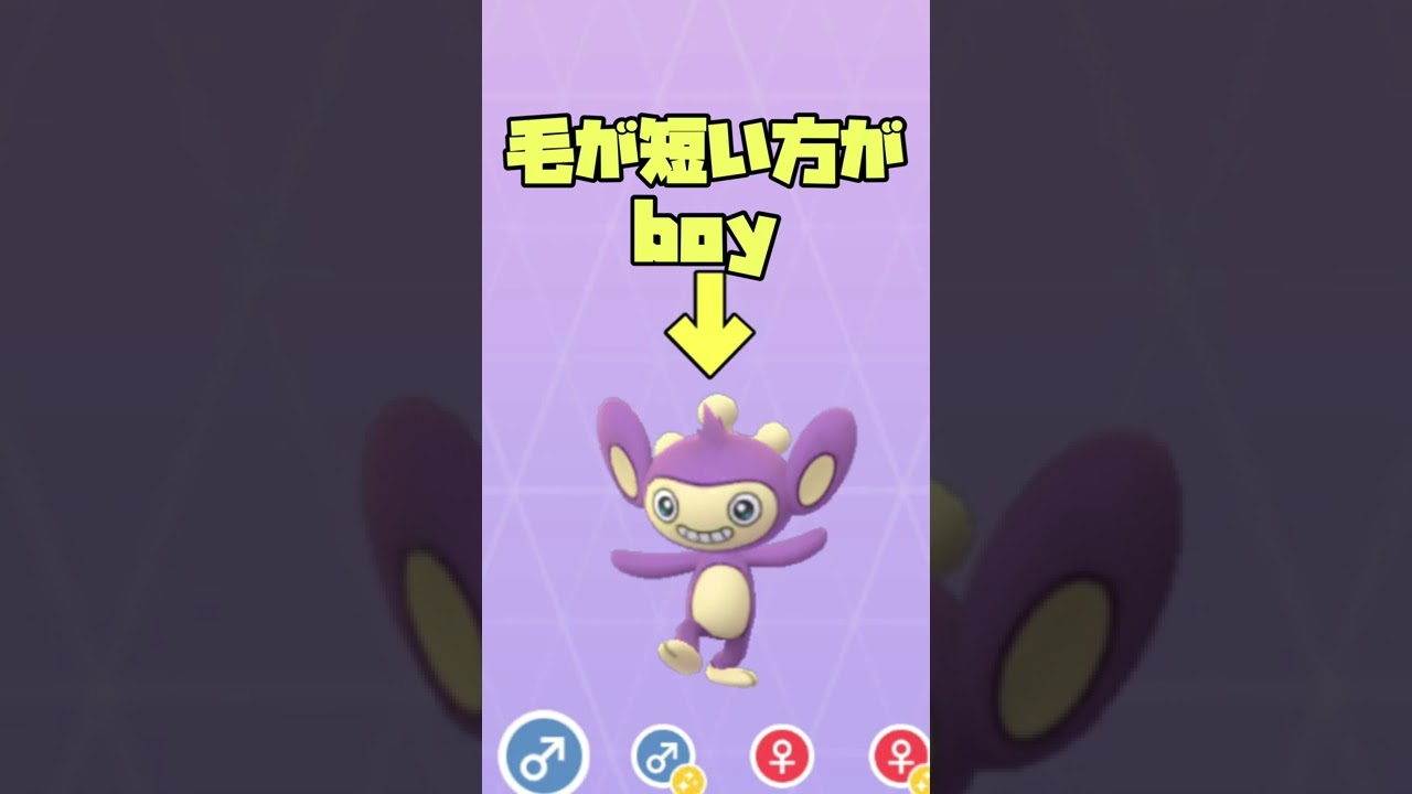 エイパムのオスメスの見分け方！