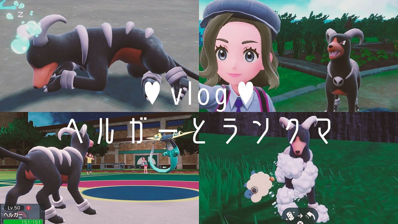 【ポケモンSVlog】愛犬ヘルガーとランクマ♡【ポケモンスカーレットバイオレット　ランクマッチ　ランクバトル】