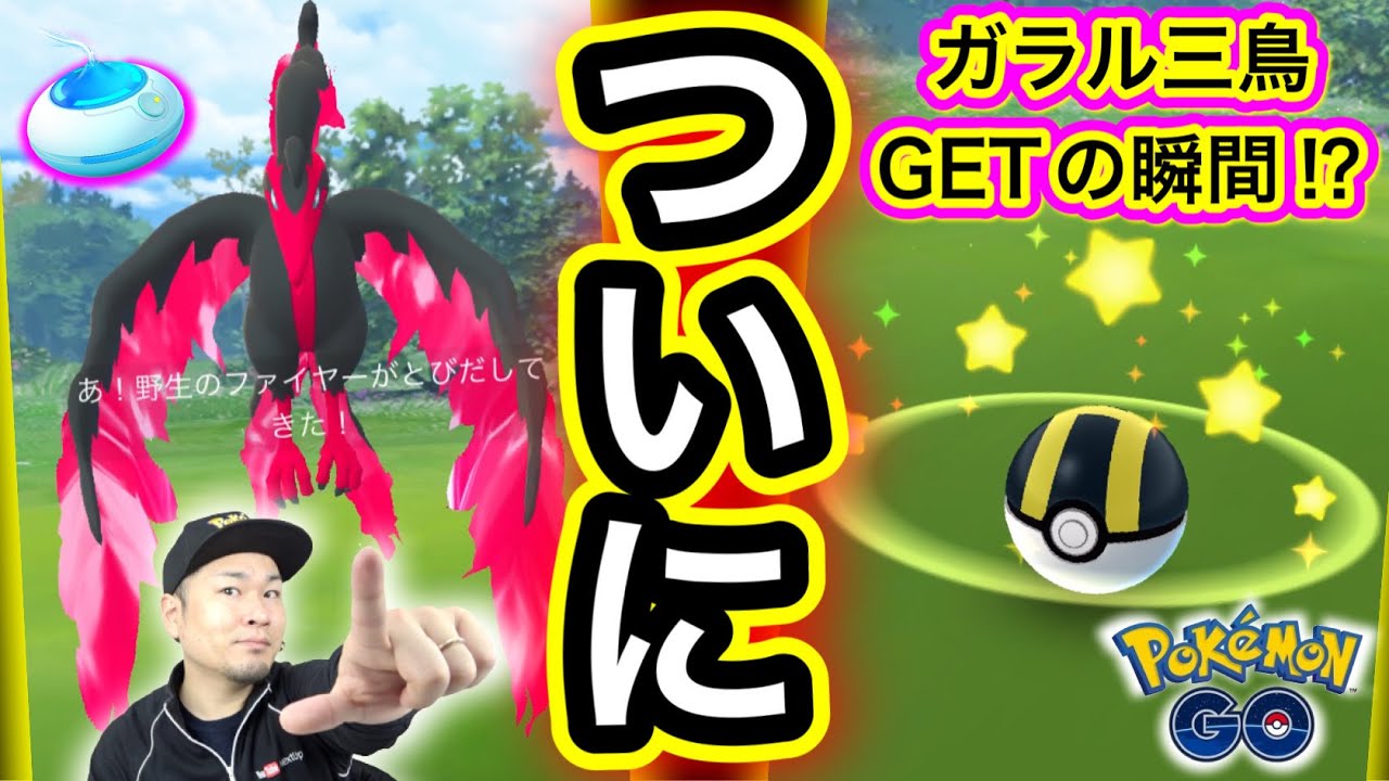 遂に念願のガラル三鳥GET！？奇跡の瞬間を捕えた！【ポケモンGO】