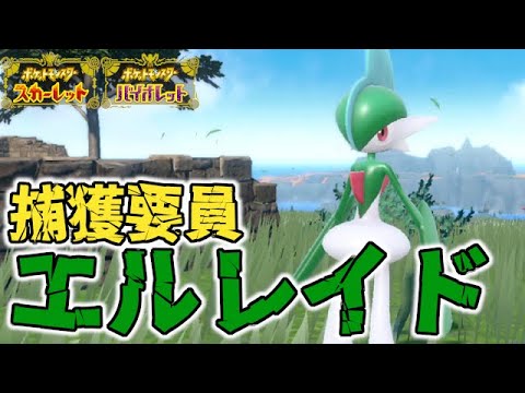 【捕獲要員】エルレイド入手方法！めざめいし入手場所【ポケモンSV/スカーレット バイオレット】