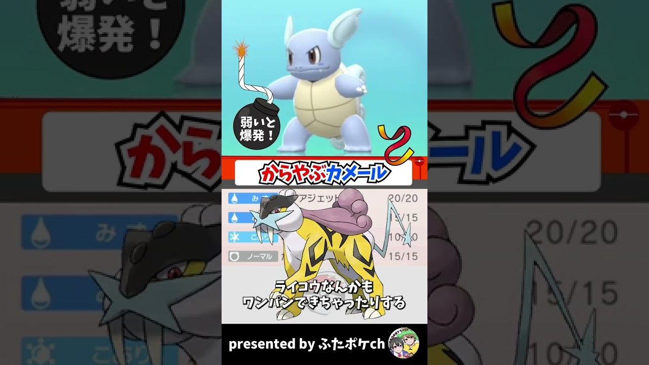 これが"ガチ"仕様のカメール⁉️カメックスに下克上なるか…？