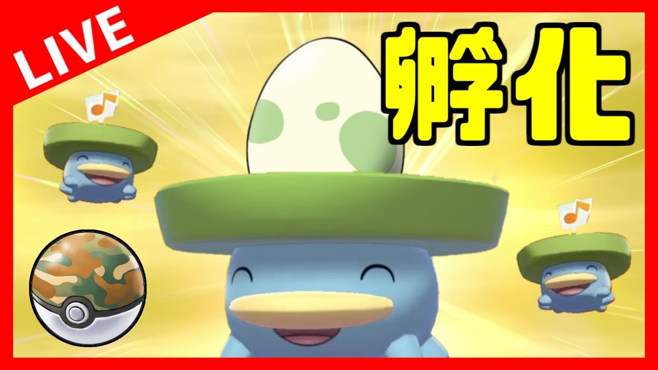 【生放送】理想のハスボーを孵化する配信【ポケモン剣盾】