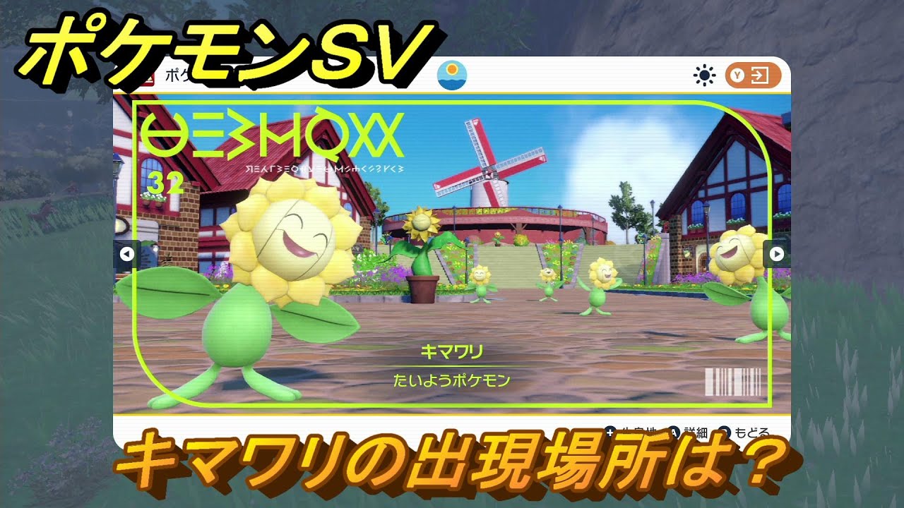 ポケモンＳＶ　キマワリの出現場所は？図鑑No.３２　ポケモン図鑑を埋めよう！　【スカーレット・バイオレット】