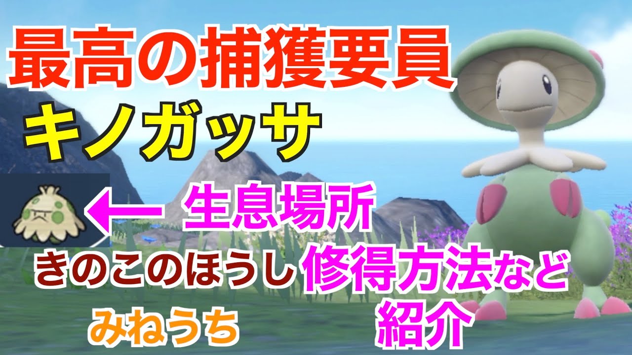 【ポケモンSV 】最高の捕獲要員キノガッサの作り方と注意点紹介します！おすすめキノココの出現場所【「みねうち」「キノコのほうし」修得方法】