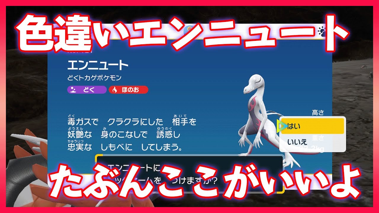【ポケモンSV】色違いエンニュートを探すならここがいいような気がする