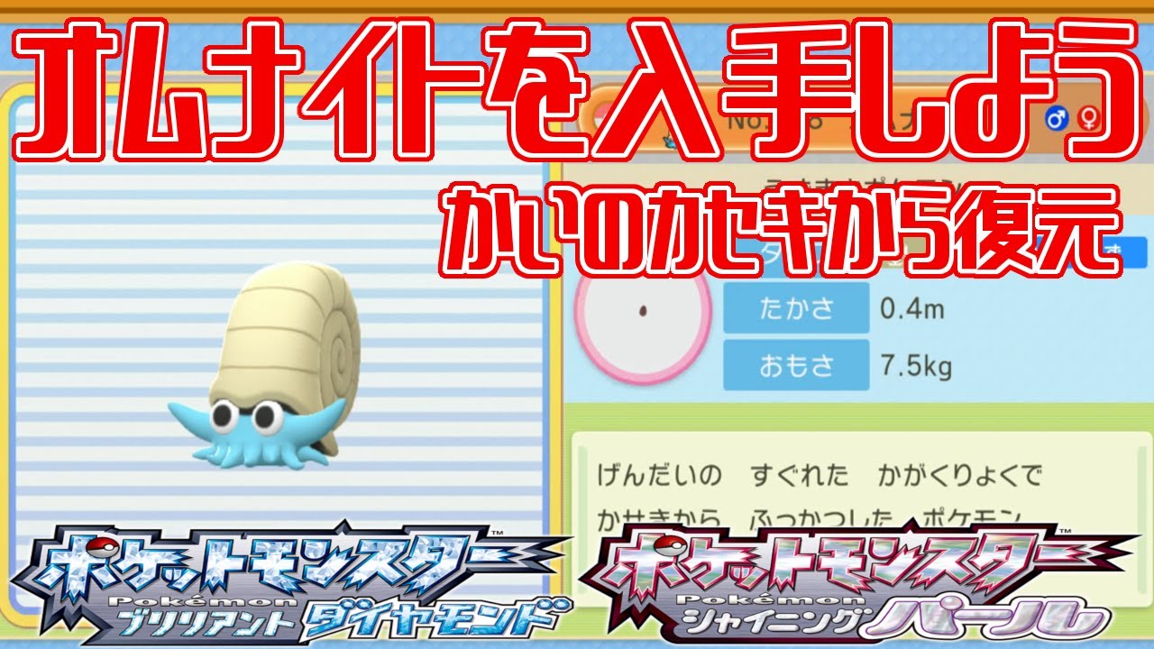 【ポケモンダイパリメイク】オムナイトを入手しよう かいのカセキから復元 全国図鑑化石ポケモン【ポケットモンスター ブリリアントダイヤモンド・シャイニングパール】Pocket Monsters