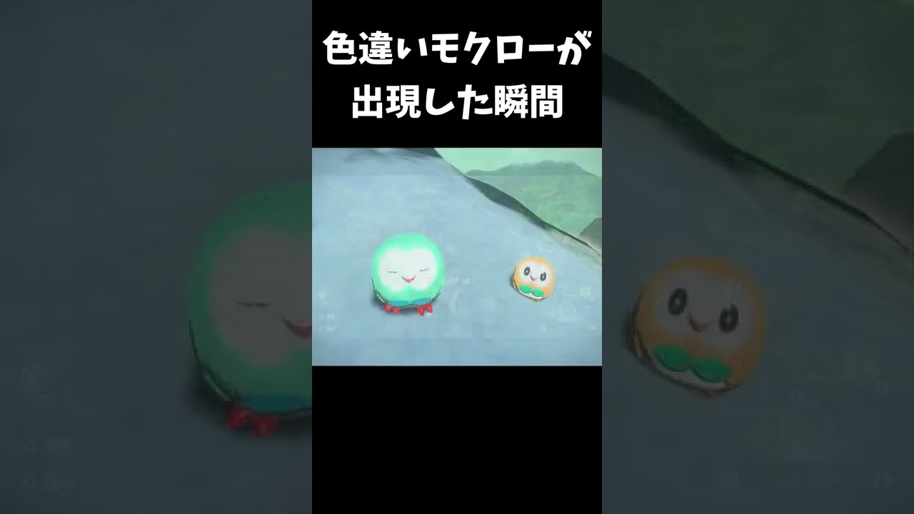 色違いモクロー が 出現した瞬間【ポケモンアルセウス】#shorts