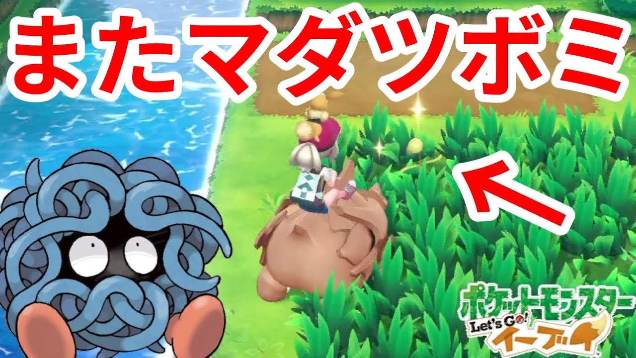 色違いはまたマダツボミなのか！【ポケモンLet'sGO！イーブイ】