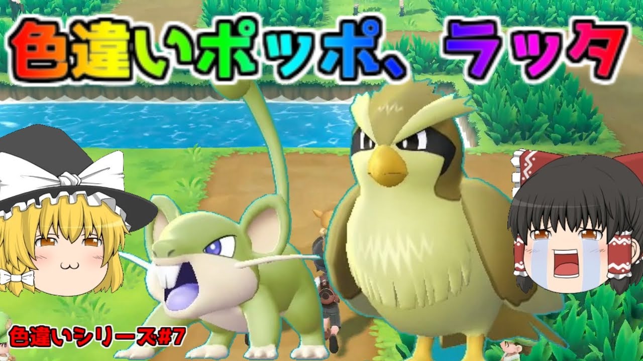 【ポケモン・ピカブイ・色違いゆっくり実況♯7】色違いコラッタ　色違いポッポ　ロコン育成中に捕獲