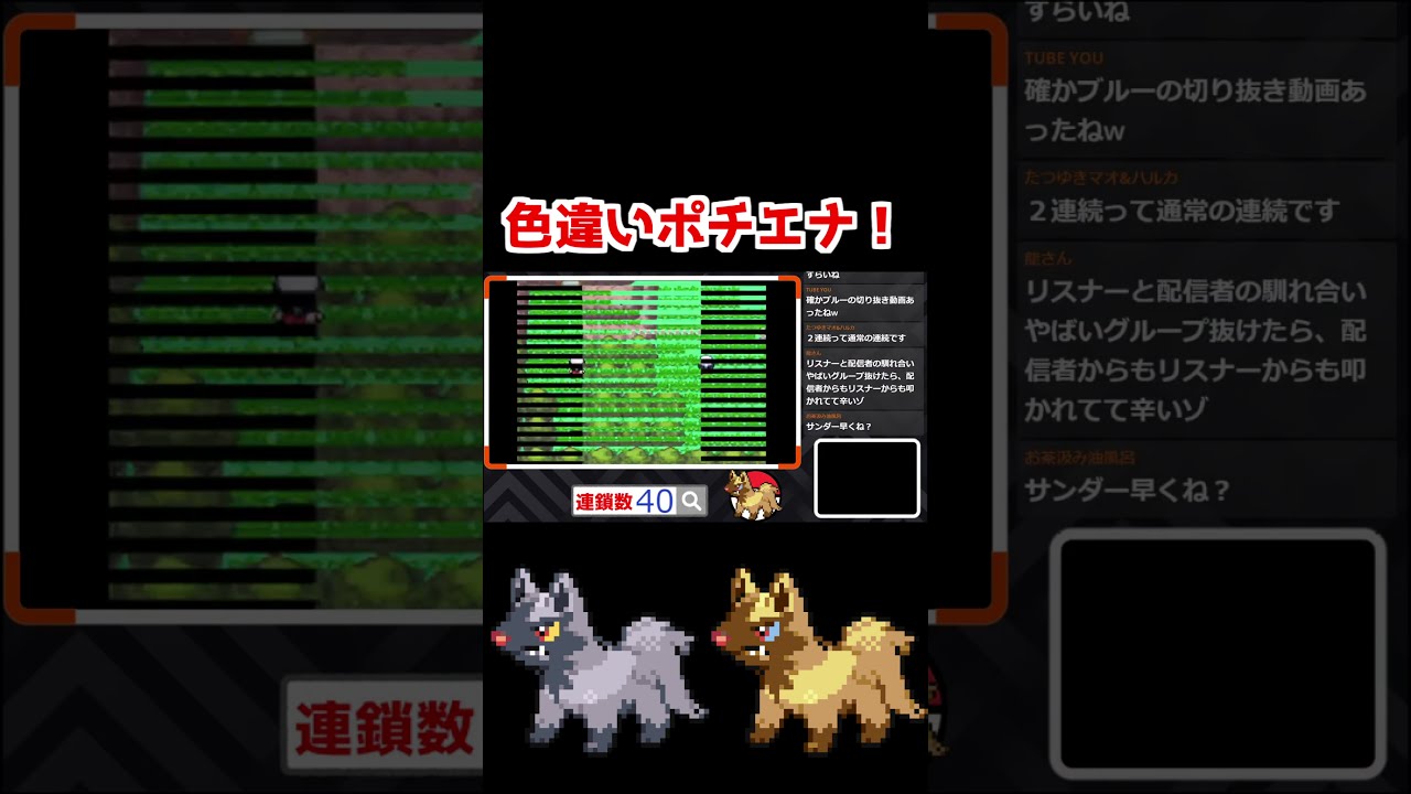 色違いポチエナ...かわええ...【ポケモンDPPt】#Shorts