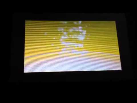 ポケモンBW2 色違いハハコモリ