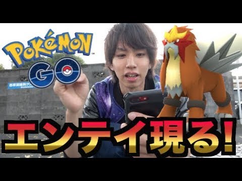 【ポケモンGO】エンテイだけは本当に必ず捕まえたい