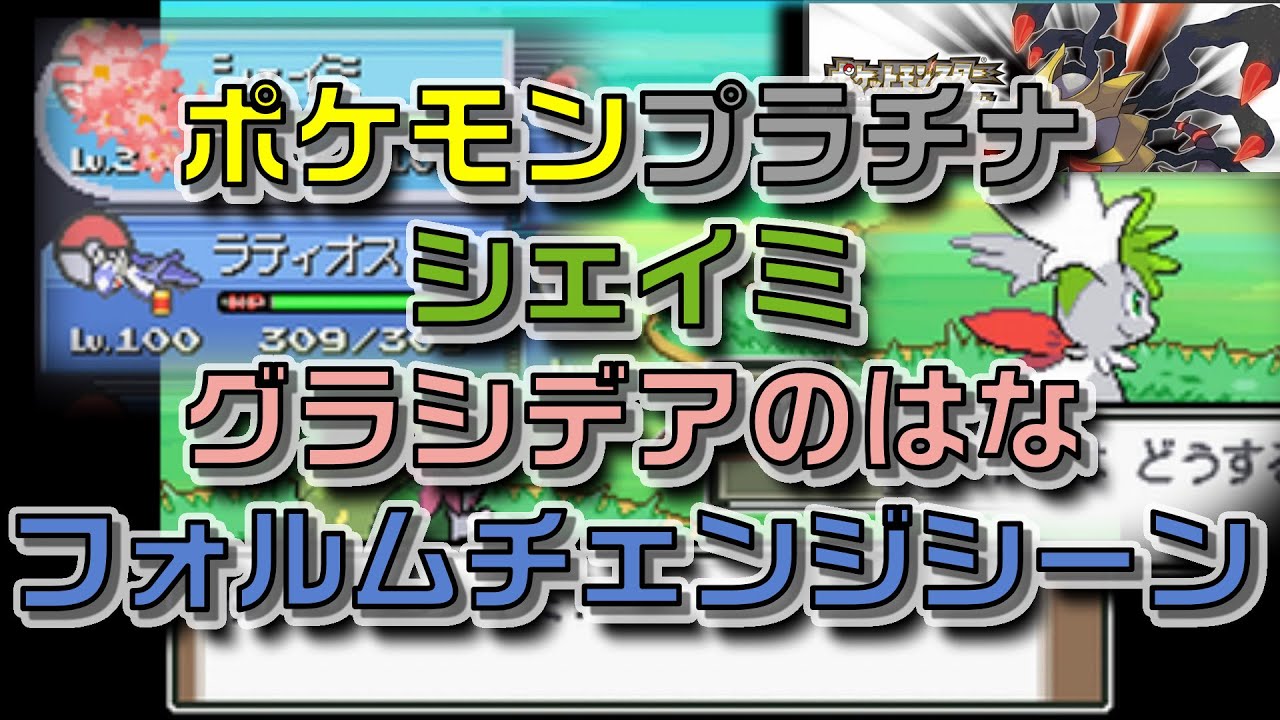 ポケモンプラチナグラシデアのはなシェイミランドFからスカイFへフォルムチェンジ＆バトルシーン