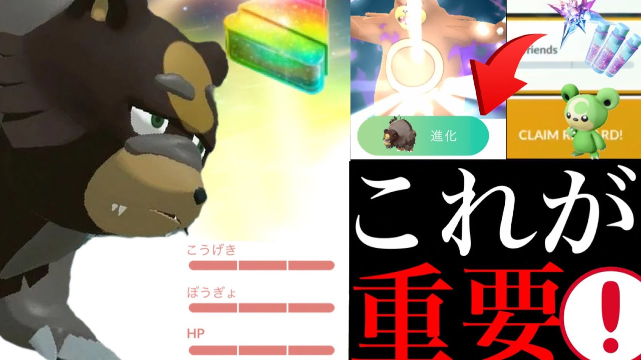 【超限定チャンス】実はこれを逃すと大変！？絶対に〇〇期間中にガチるべき砂大量コミュデイのポイントは・・？【ポケモンGO・ヒメグマ・ガチグマ・コミュニティデイ・色違いポケモン】