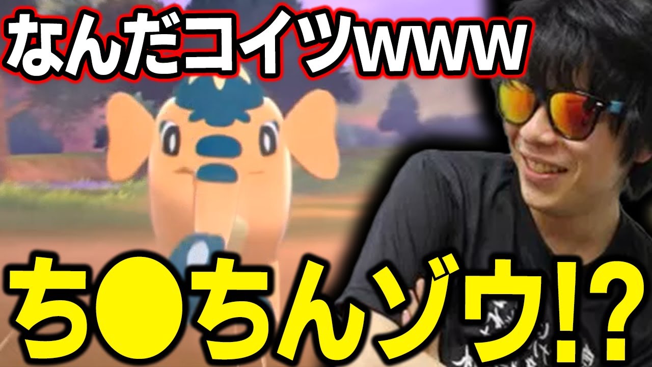 【剣盾】なんやコイツｗｗｗはじめて見た「ゾウドウ」に卑猥な呼び名をつける漢ｗｗｗ【もこう ポケモン 切り抜き】