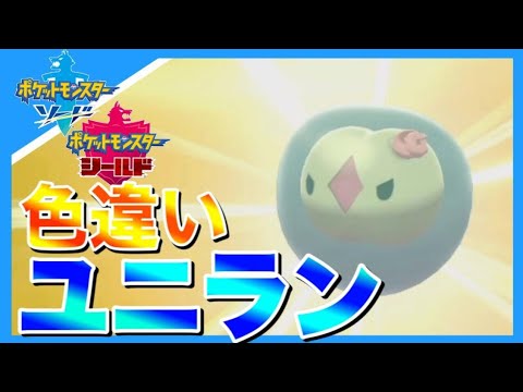 色違いユニランを出して発狂する男　【ポケモン剣盾】