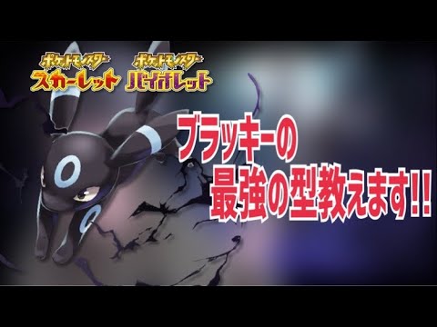 【ポケモンSV】ブラッキーを使いたいそこの貴方！オススメの型教えます!!