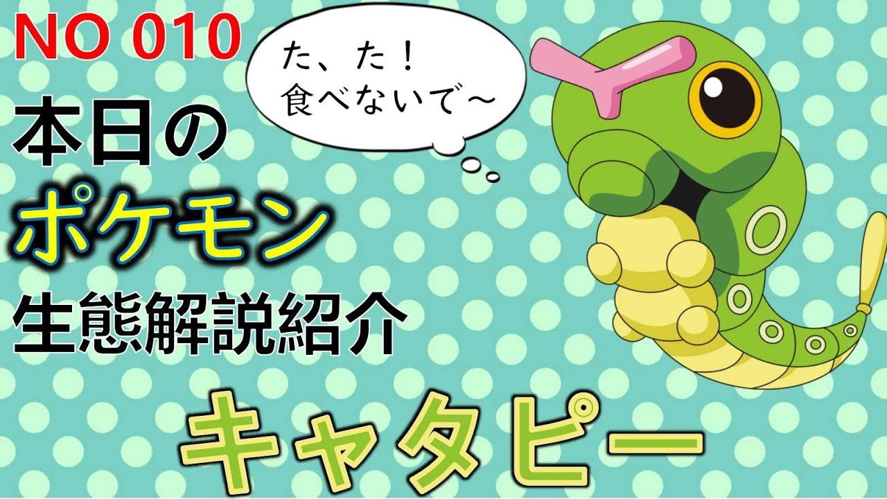 【考察】 「ポケモン解説」ポケモン界の闇　キャタピーの生態と小ネタ解説 010「ゆっくり実況ポケモン図鑑」 平日18時30分毎日投稿中！ 【ポケモン図鑑詳細版】