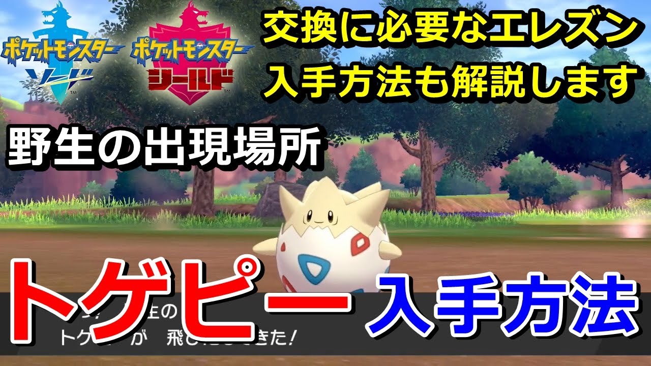 【ポケモン剣盾】『トゲピー』野生の出現場所・入手方法（2種類）★交換に必要な「エレズン」の入手方法も解説【ソード・シールド】ニャン速ちゃんねる