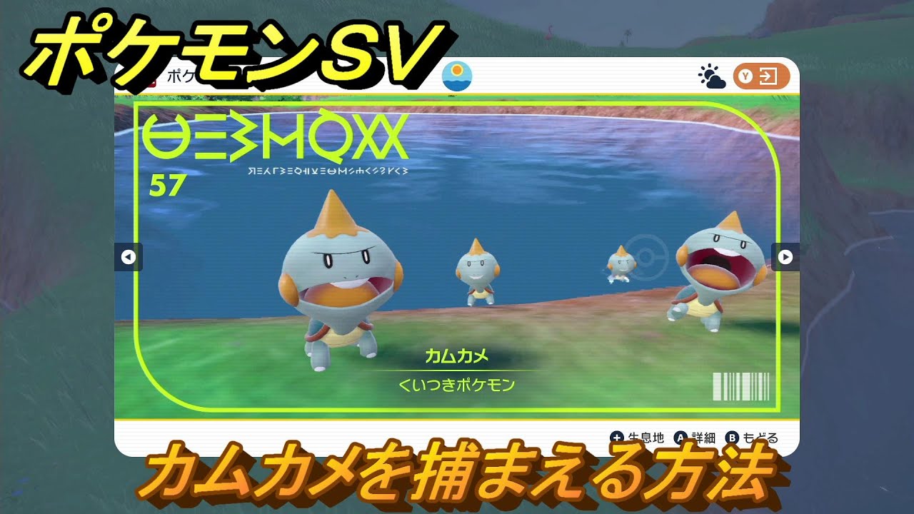 ポケモンＳＶ　カムカメを捕まえる方法！出現場所は？図鑑No.５７　ポケモン図鑑を埋めよう！　【スカーレット・バイオレット】