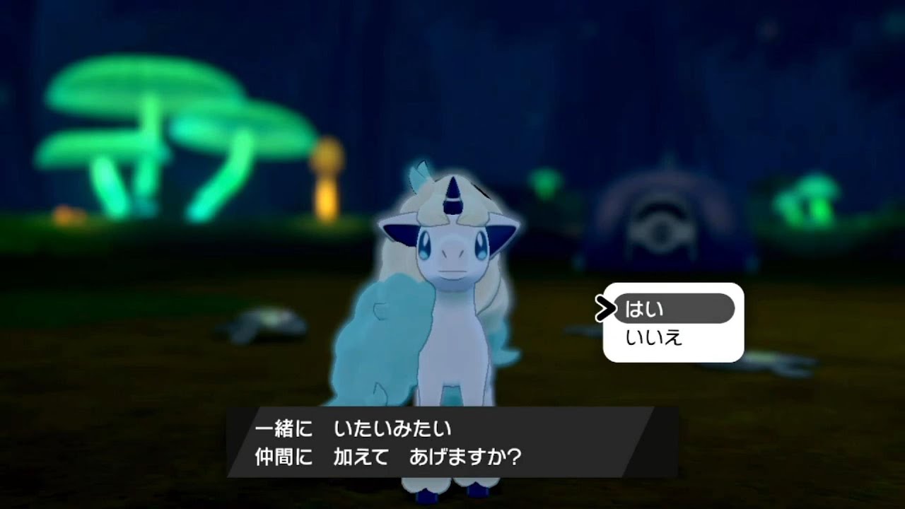 【ポケモン剣盾】カレー証の色違いガラルポニータ【カレー証色違い】