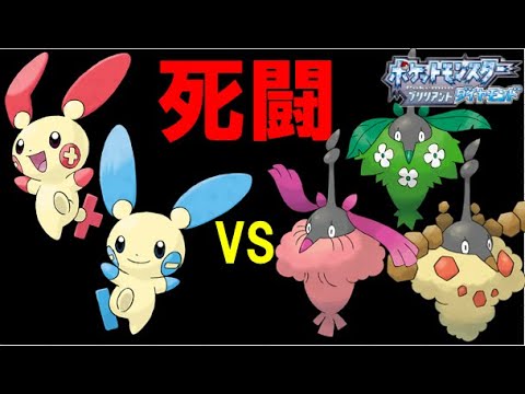 【マイナー対決】プラスルマイナンタッグvsミノマダム3姉妹の死闘【ダイパリメイク】【ポケモンBDSP】