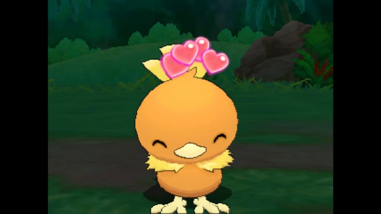 【ポケリフレ】　アチャモと触れ合うだけの動画