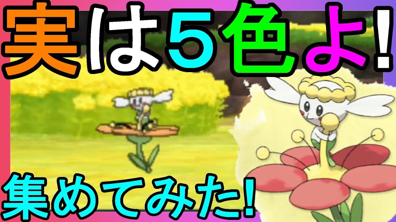 全部で5色！？長生きフラワーを全色集めてみた！【ポケモンウルトラサンムーン】