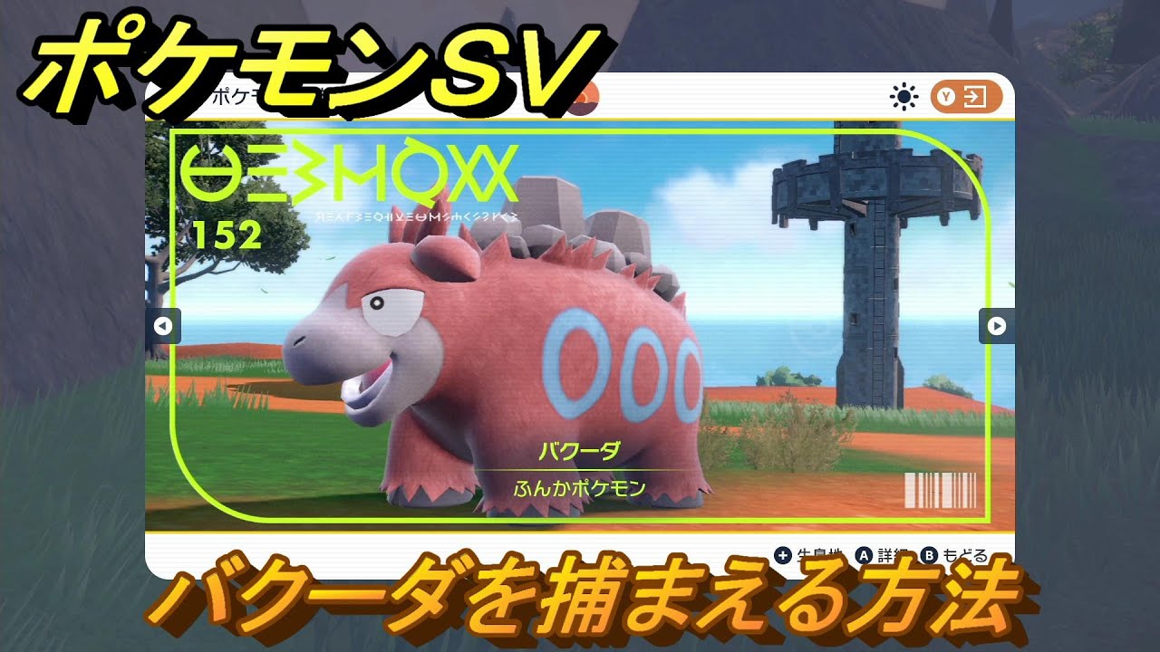 ポケモンＳＶ　バクーダを捕まえる方法！出現場所は？図鑑No.１５２　ポケモン図鑑を埋めよう！　【スカーレット・バイオレット】