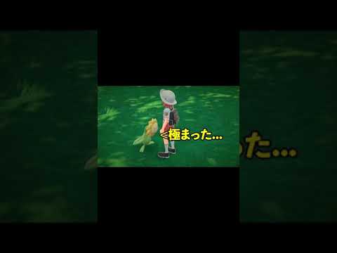 やべぇポケモン出会った #shorts