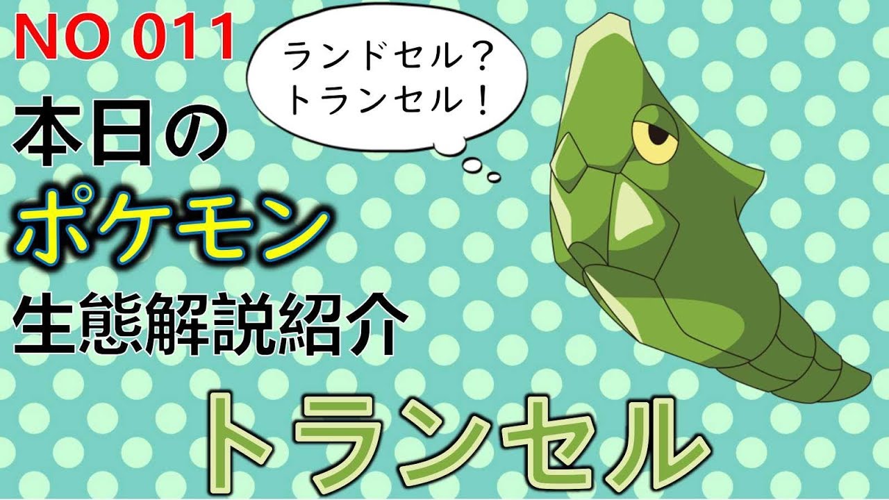 【考察】 「ポケモン解説」割れ物注意！トランセルの生態と小ネタ解説 011「ゆっくり実況ポケモン図鑑」 平日18時30分毎日投稿中！ 【ポケモン図鑑詳細版】