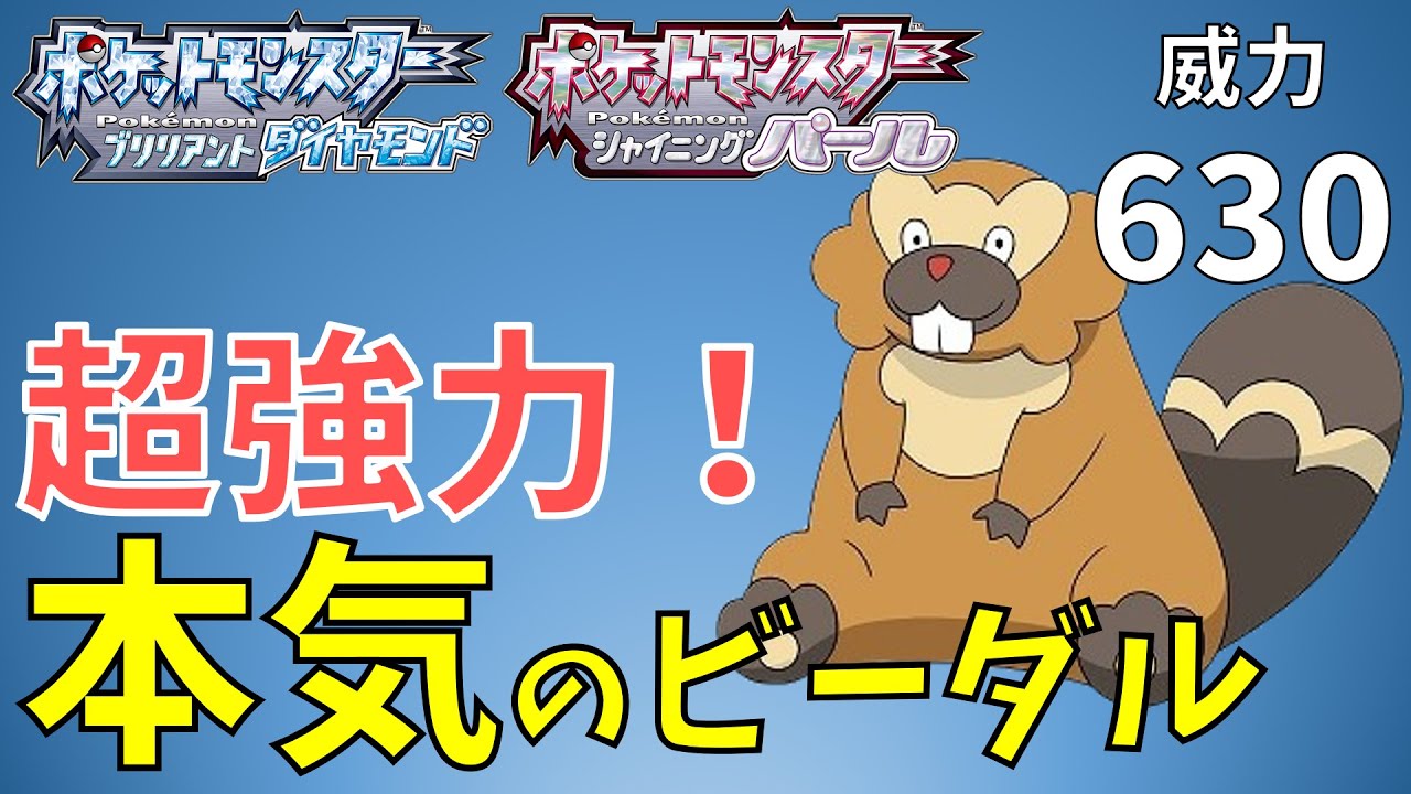 【ダイパリメイク】おすすめアタッカーのビーダル！旅パのボス戦に[ポケモンBDSP]
