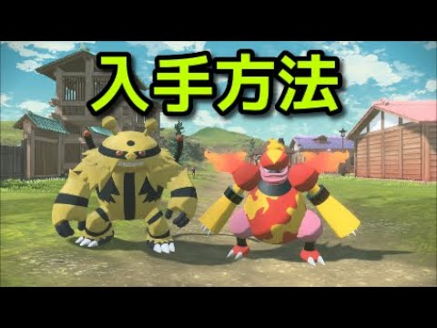 【ポケモン アルセウス】エレキブル ブーバーン 入手方法 エレキブースター マグマブースター【Pokémon LEGENDS アルセウス】