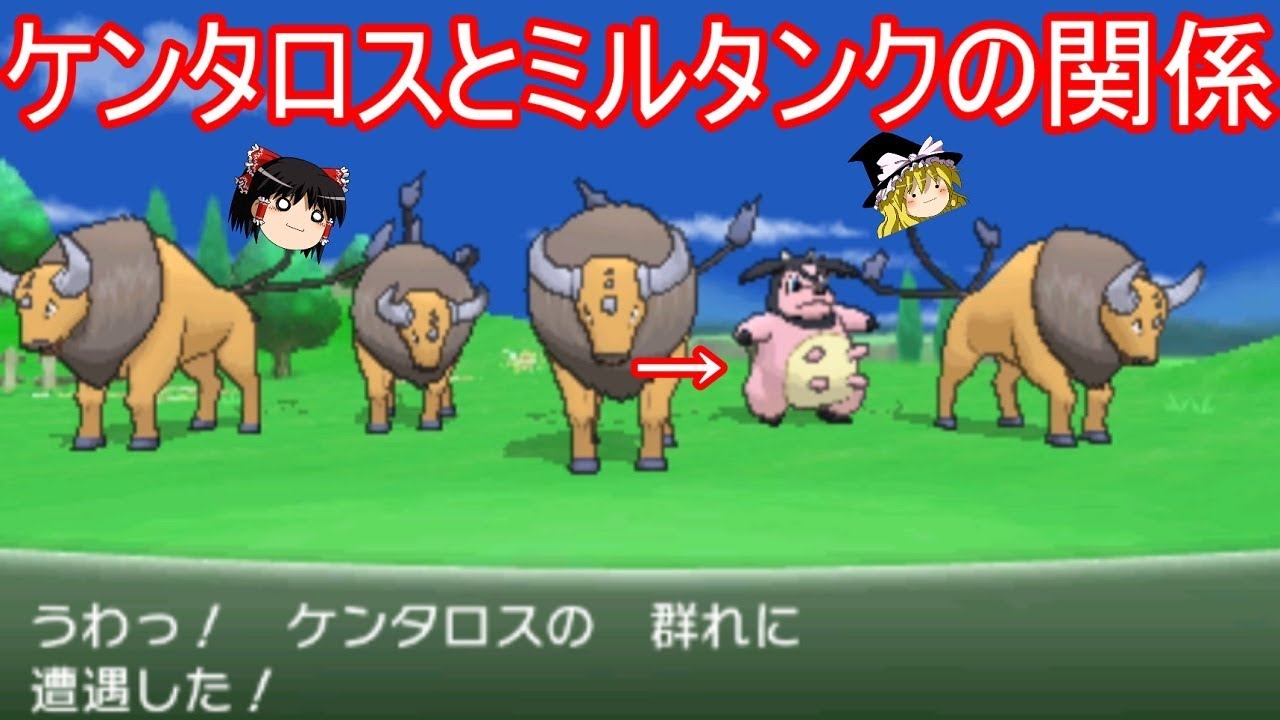 ケンタロスとミルタンクの謎の関係性【ポケモン】【ゆっくり実況】
