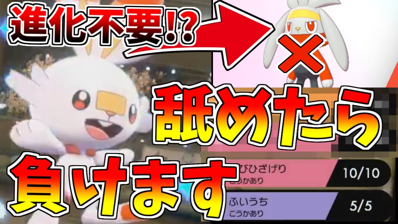 進化前ポケモンマスターが教える、最強のヒバニーの型を紹介します。使い勝手がいいのでマネしないでください。【ポケモン剣盾】【ポケモンソードシールド】