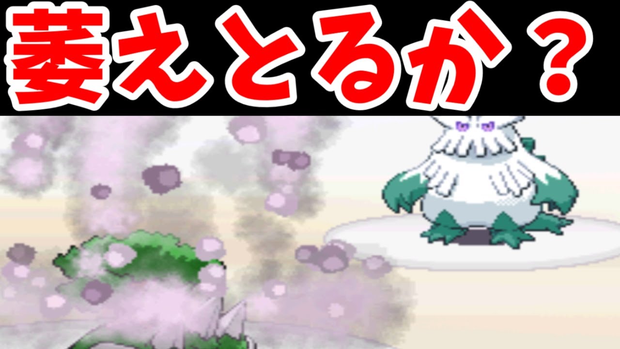 【検証】ナエトル不遇説！ダイパのジムリーダー達に挑み真偽を確かめる！