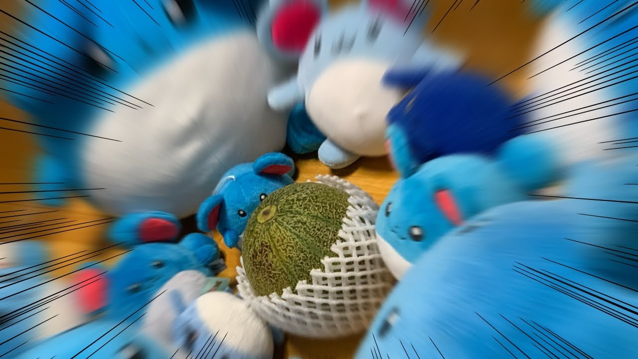 マリルにメロンをあげてみた