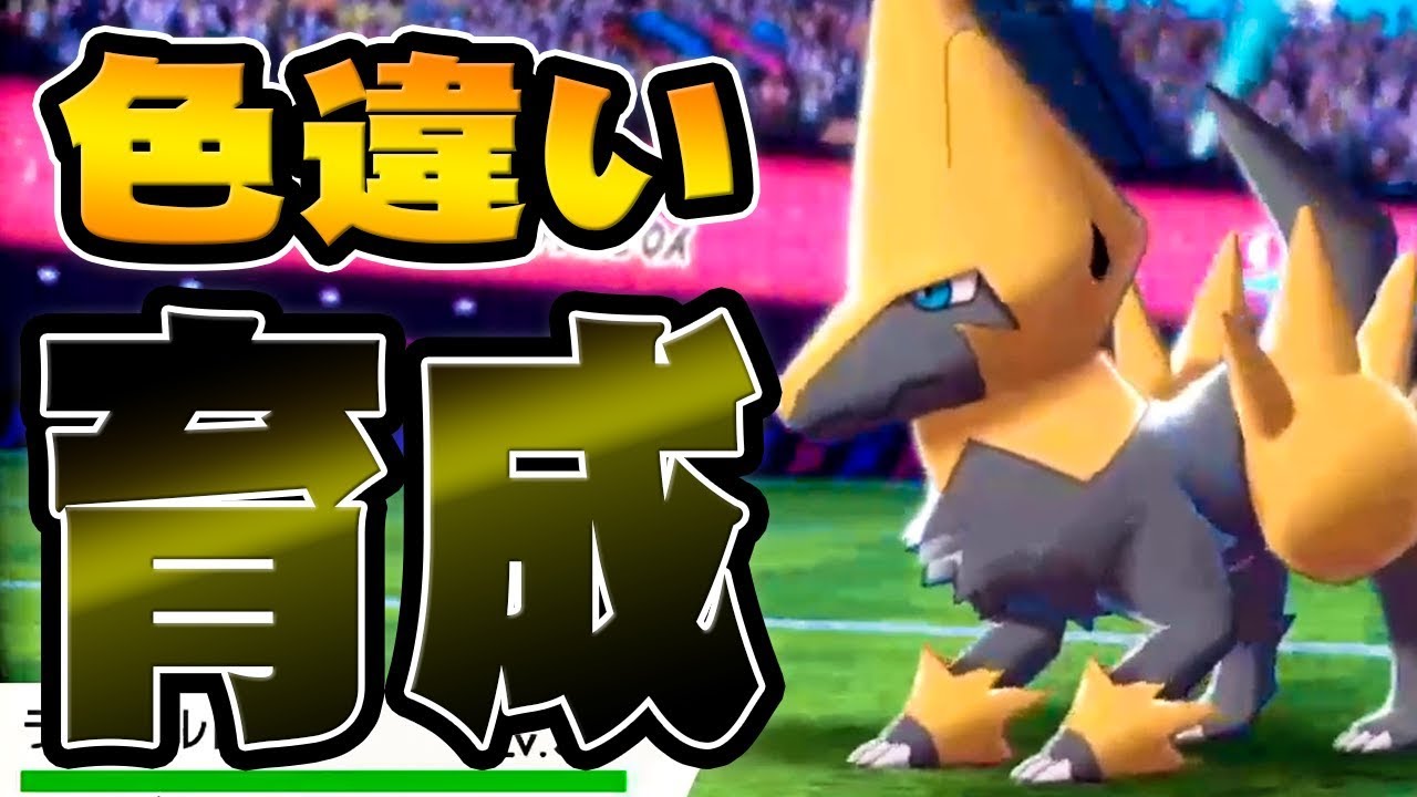 最強の色違いライボルトを育てようぜ！『ポケットモンスター ソード・シールド』を実況プレイ 【ポケモン剣盾】