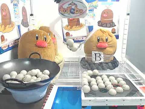 「ポケモンフォーカス＜地方別のすがた＞めちゃでかディグダ・ディグダ（アローラのすがた）ぬいぐるみ　Ｂ．ディグダ（アローラのすがた）」がとれました！