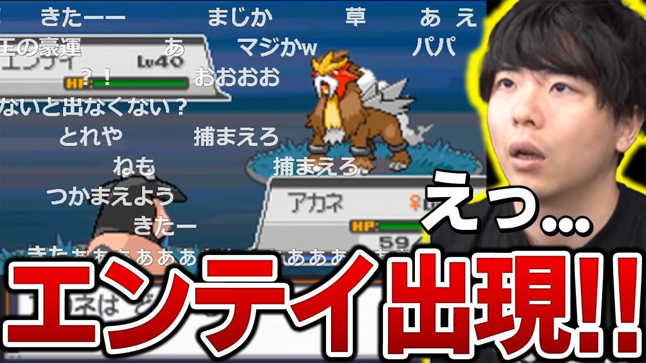 【HGSS】野生の『エンテイ』が現れて困惑する漢と視聴者ｗｗｗ【もこう ポケモン 切り抜き】