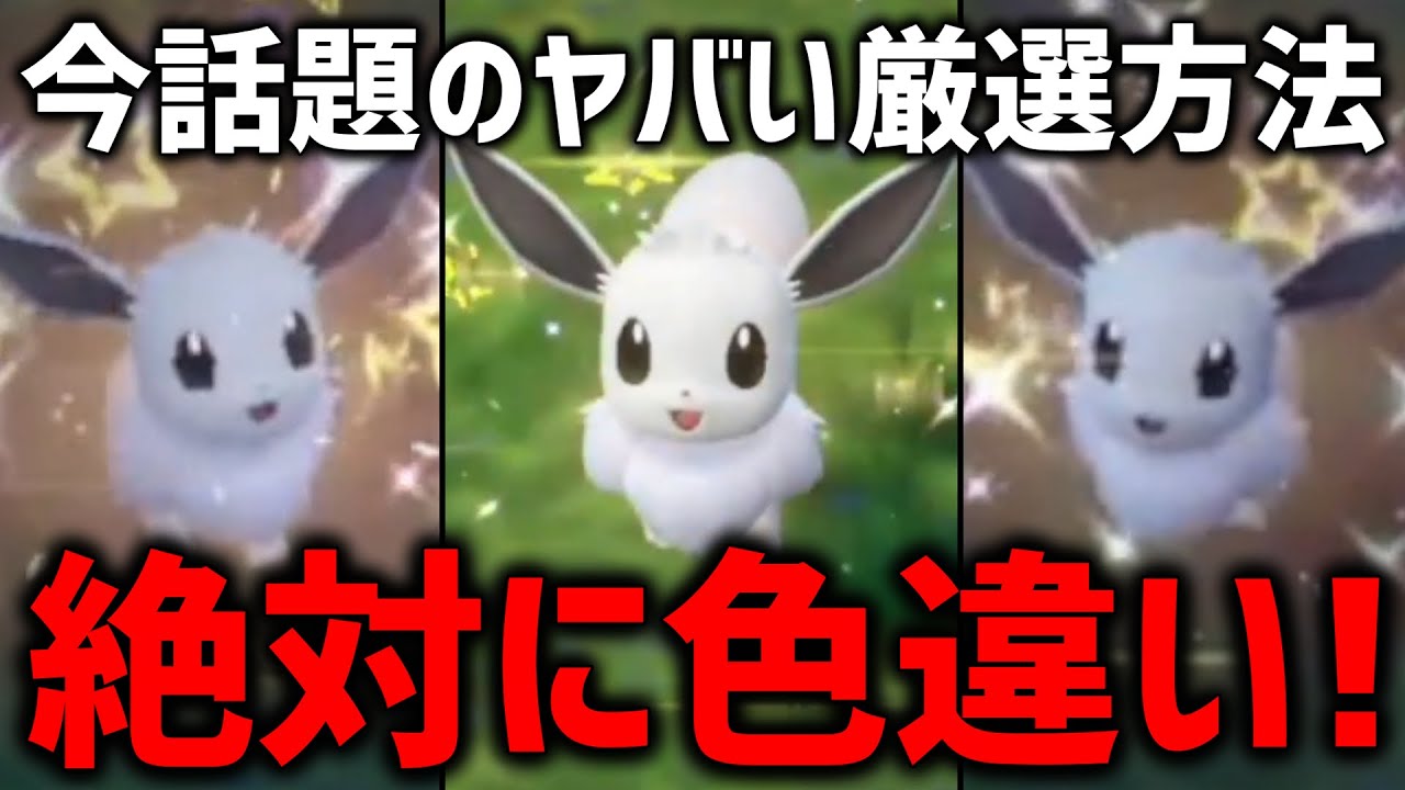 【検証】色違いイーブイを確実にゲットできる方法があるらしい！【ポケモンSV】
