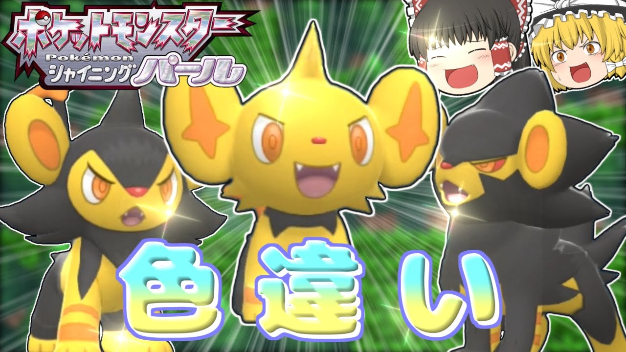 【ポケモンBDSP】色違いのコリンクが欲しい！ルクシオが欲しい！レントラーが欲しい！！【ゆっくり実況】～ダイパリメイクPART1～