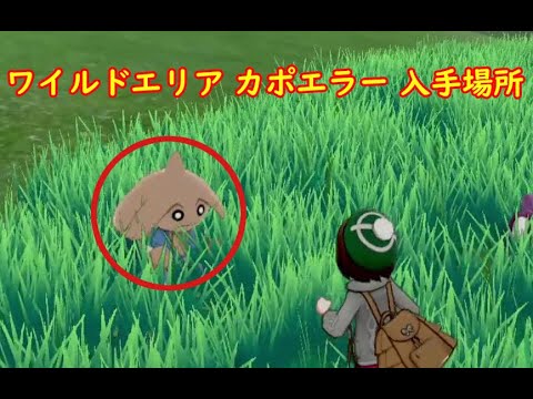 【カポエラー】ワイルドエリア 入手場所【ポケモン ソード シールド ポケモン剣盾】
