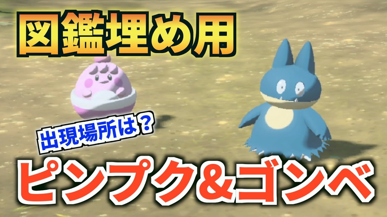 【攻略】低確率で出現するピンプク&ゴンベの位置情報【Pokémon LEGENDS アルセウス】【図鑑埋め】