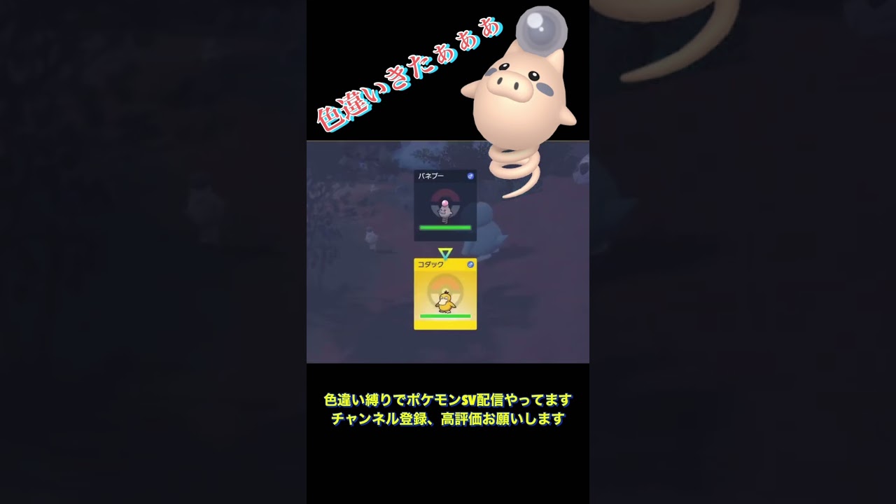 【ポケモンSV】色違いバネブーきたぁぁぁぁ！！ #shorts  #short  #ポケモンsv  #色違い縛り