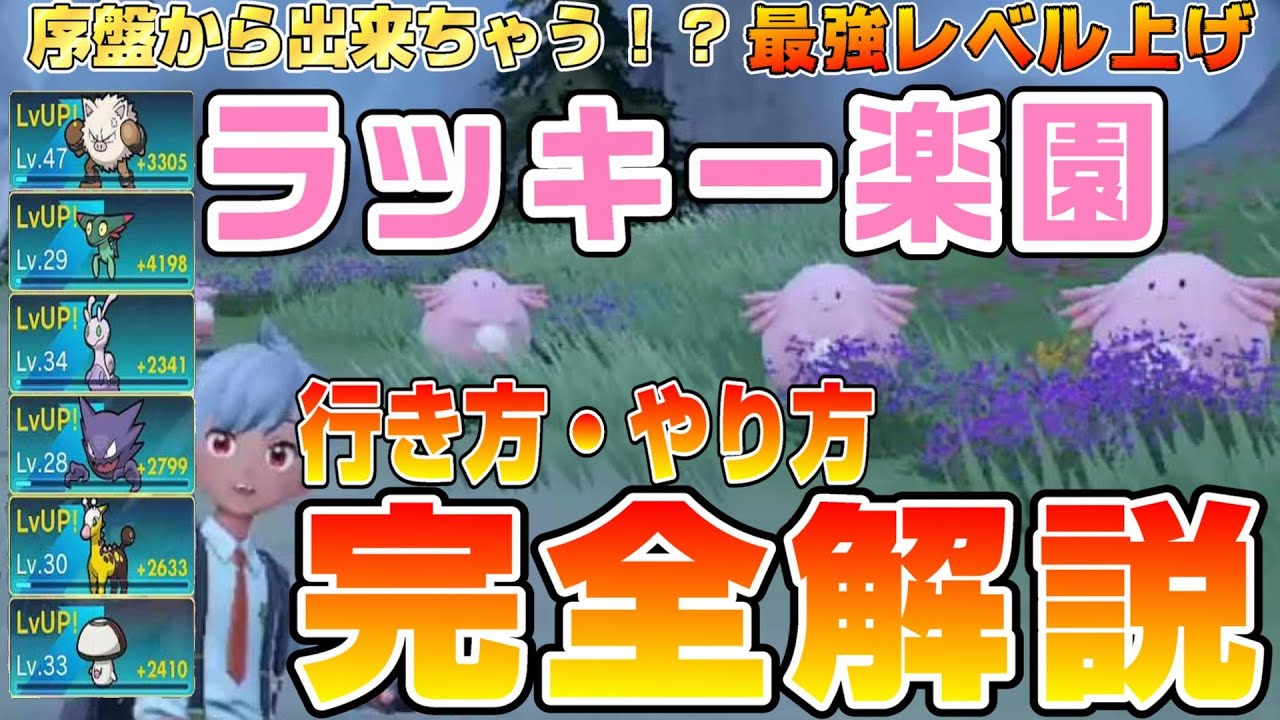 【ポケモンSV】序盤～中盤で最強レベル上げ「ラッキー楽園」行き方・やり方完全解説【スカーレット/バイオレット】