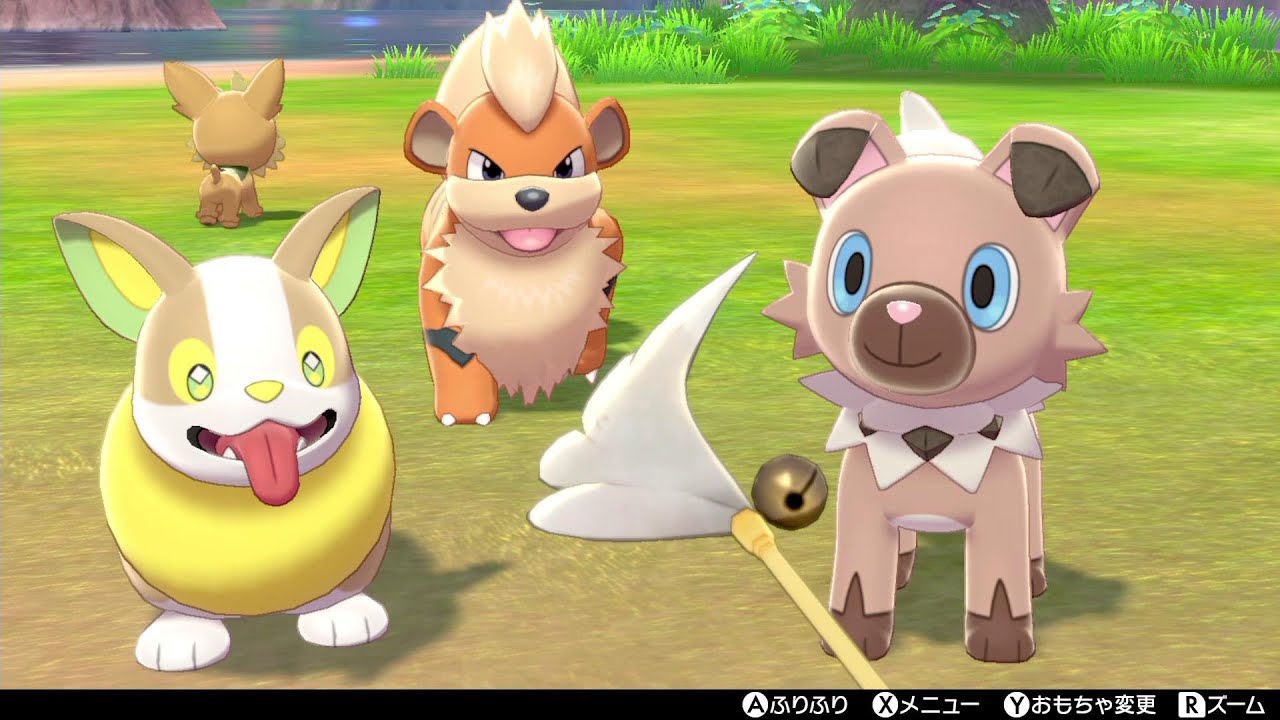 子犬ポケモンワンパチ・イワンコ・ガーディ・色違いヨーテリーとポケモンキャンプで戯れます【ポケモン剣盾】