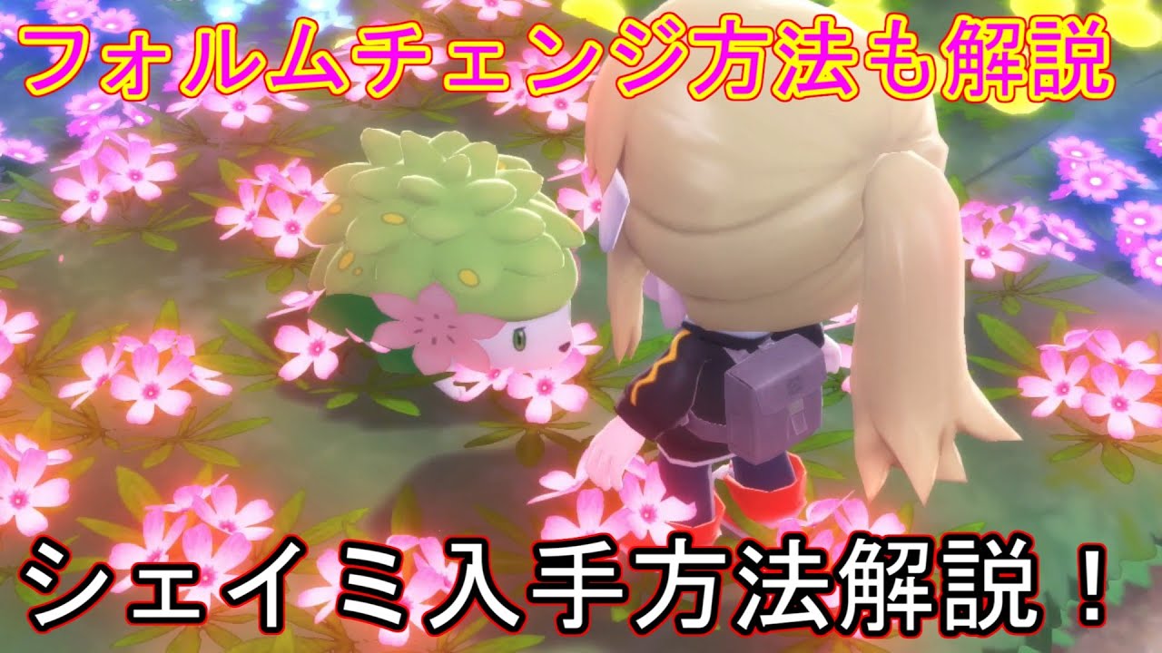 【ポケモン　ダイパリメイク】シェイミの入手方法・フォルムチェンジ方法解説【スカイフォルム/ふしぎなおくりもの/オーキドのてがみ/アプデ】【BDSP/ブリリアントダイヤモンド/シャイニングパール】